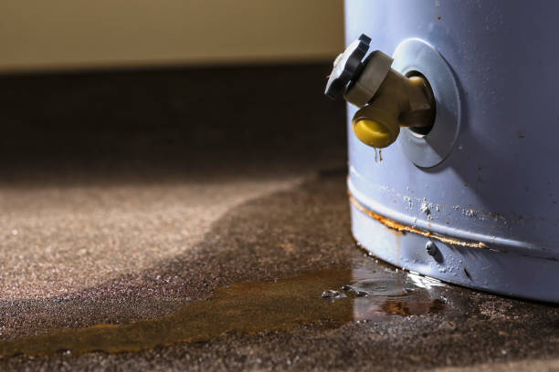 Best Emergency water damage restoration  in Bayou Gauche, LA