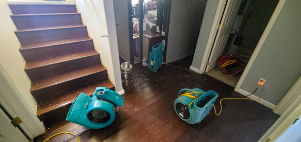 Best Residential water damage restoration  in Bayou Gauche, LA
