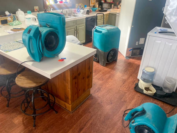 Best 24/7 water damage repair  in Bayou Gauche, LA