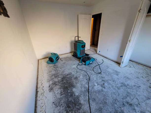 Best Water damage restoration near me  in Bayou Gauche, LA