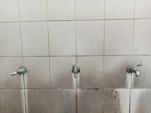 Best Ceiling water damage repair  in Bayou Gauche, LA
